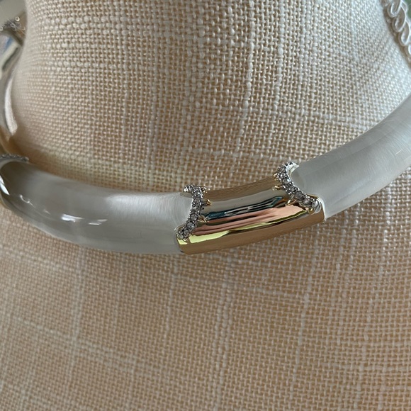 Alexis Bittar Jewelry - NWOT Alexis Bittar Lucite Choker Necklace